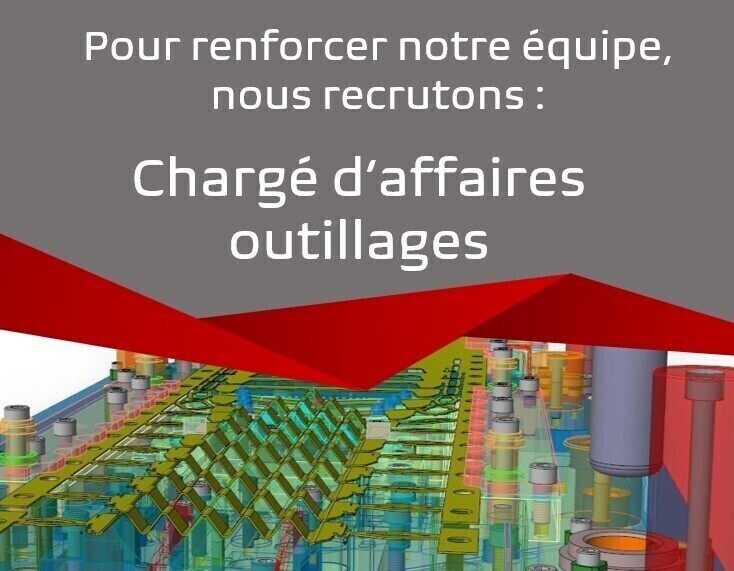 Chargé d'affaire - MOD